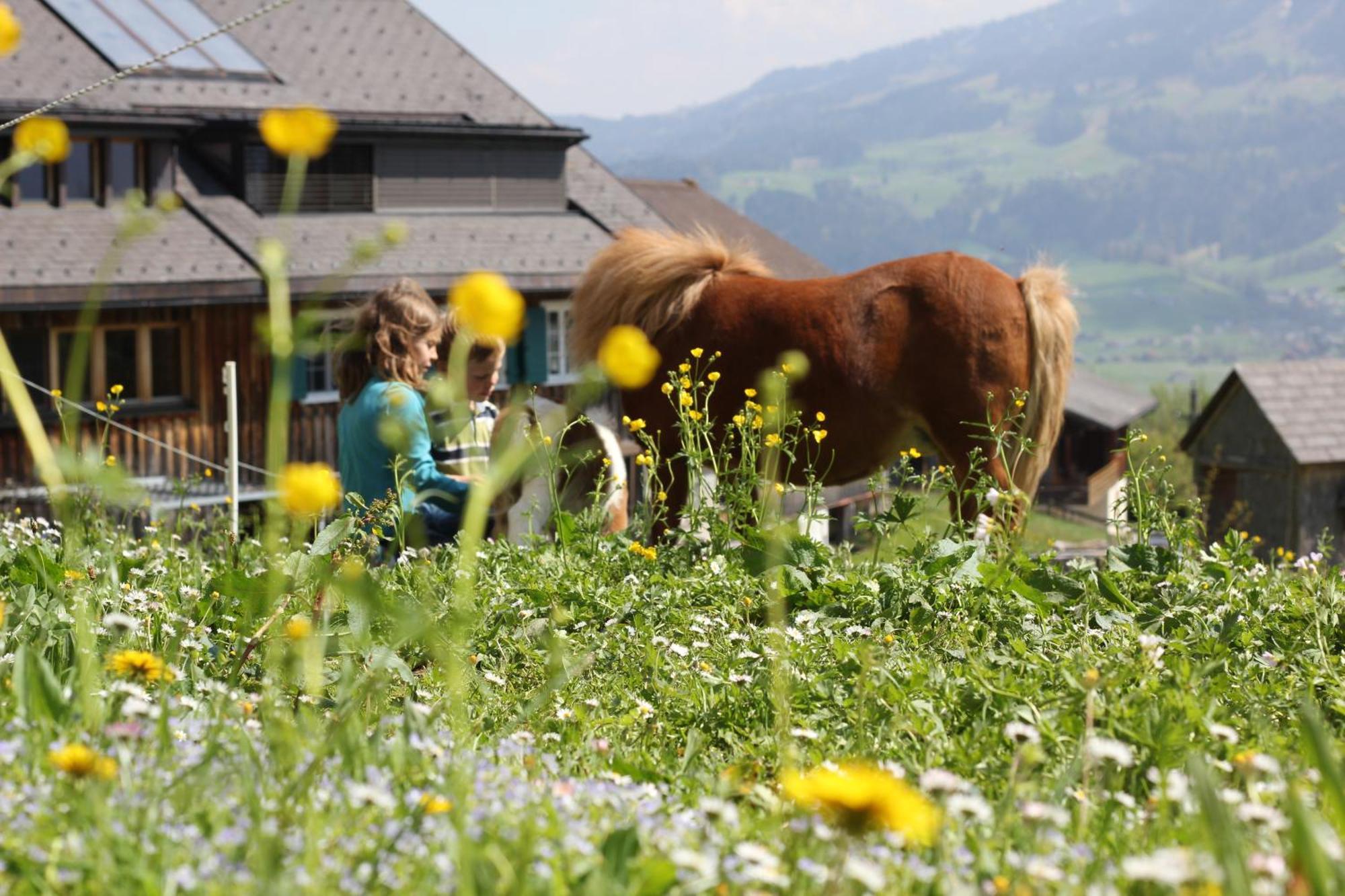 Bio Ferienbauernhof Greber Villa Schwarzenberg im Bregenzerwald Eksteriør bilde