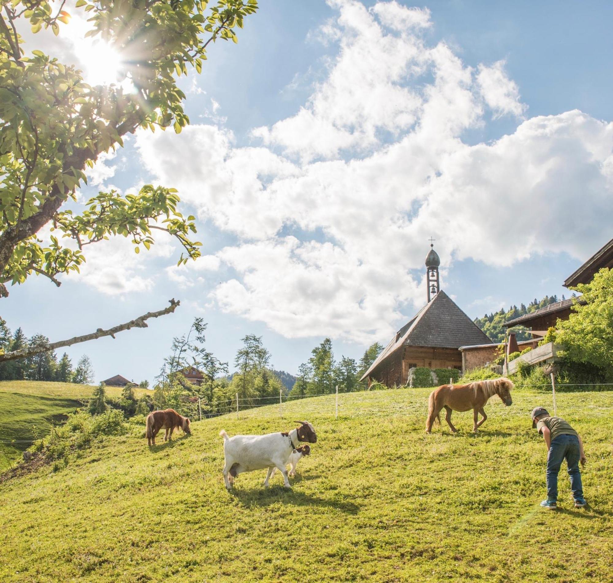 Bio Ferienbauernhof Greber Villa Schwarzenberg im Bregenzerwald Eksteriør bilde
